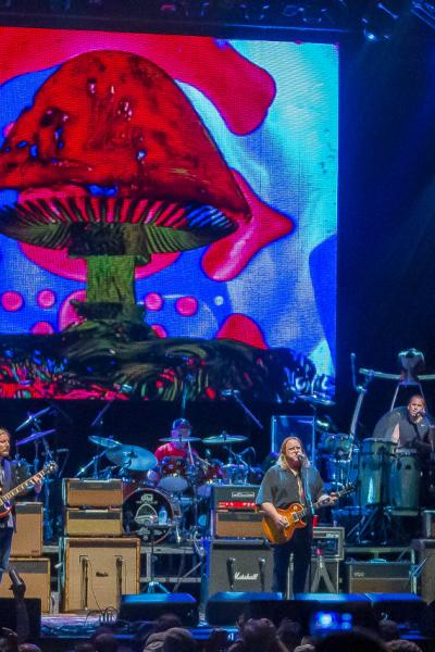 Allman Brothers Band